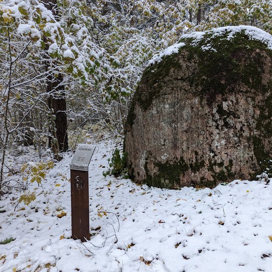 Iliustracija
