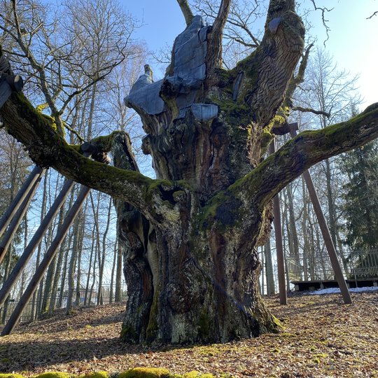 Iliustracija