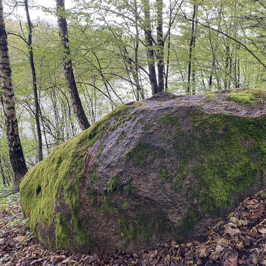 Iliustracija