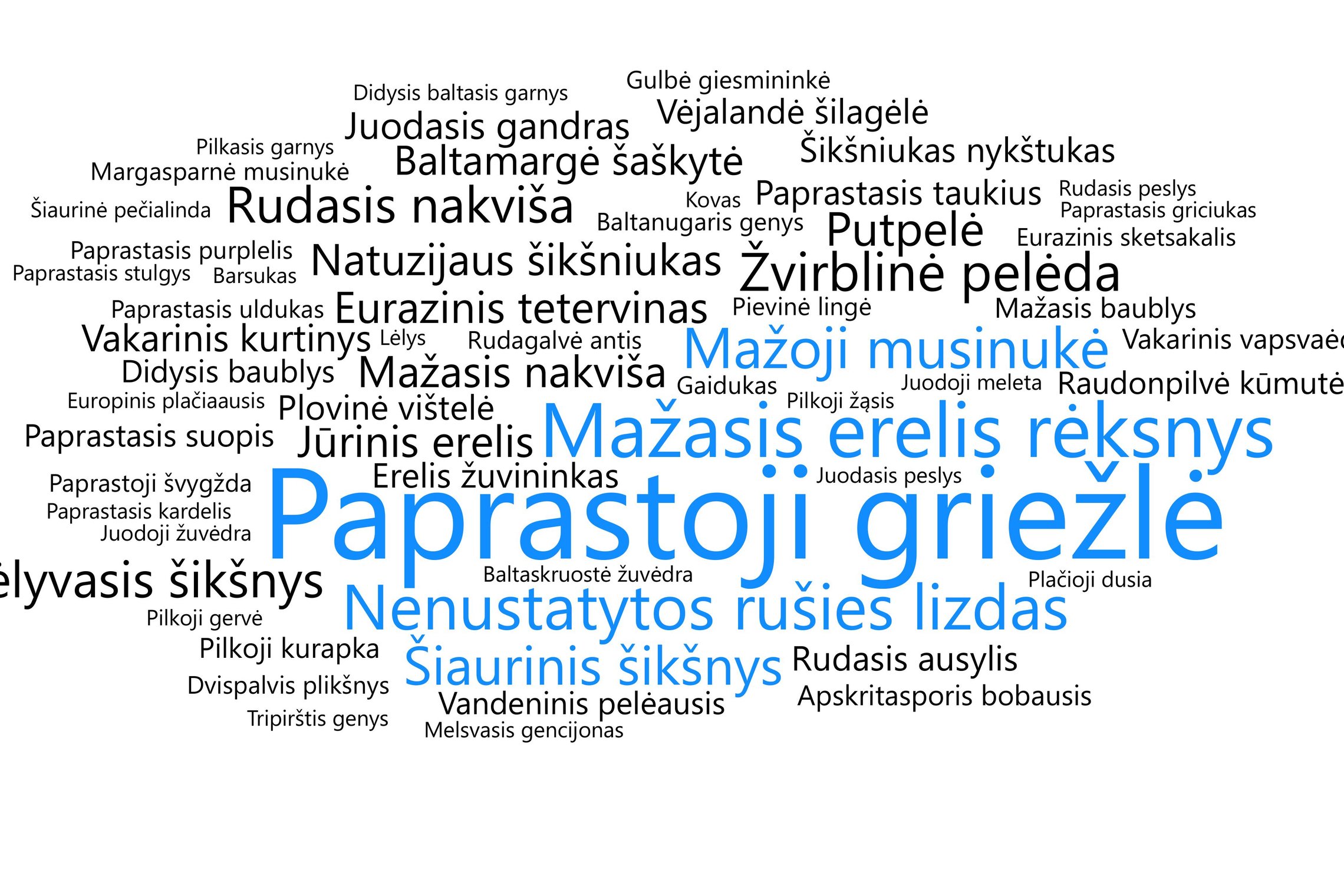 Iliustracija