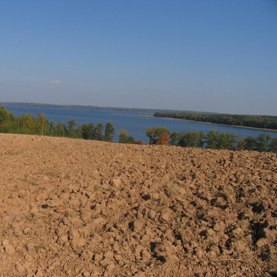 Iliustracija