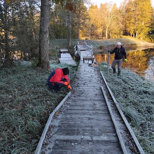 Iliustracija