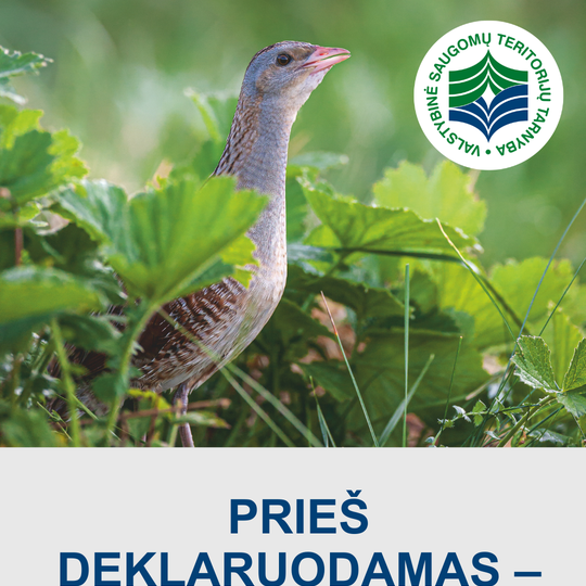 Iliustracija