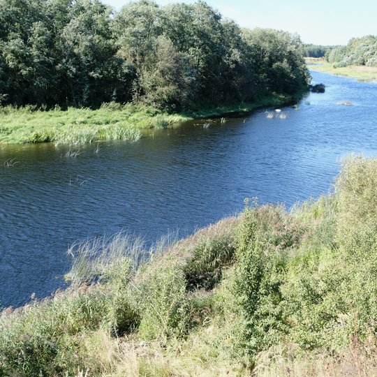 Iliustracija