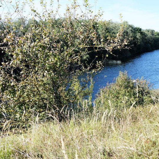 Iliustracija