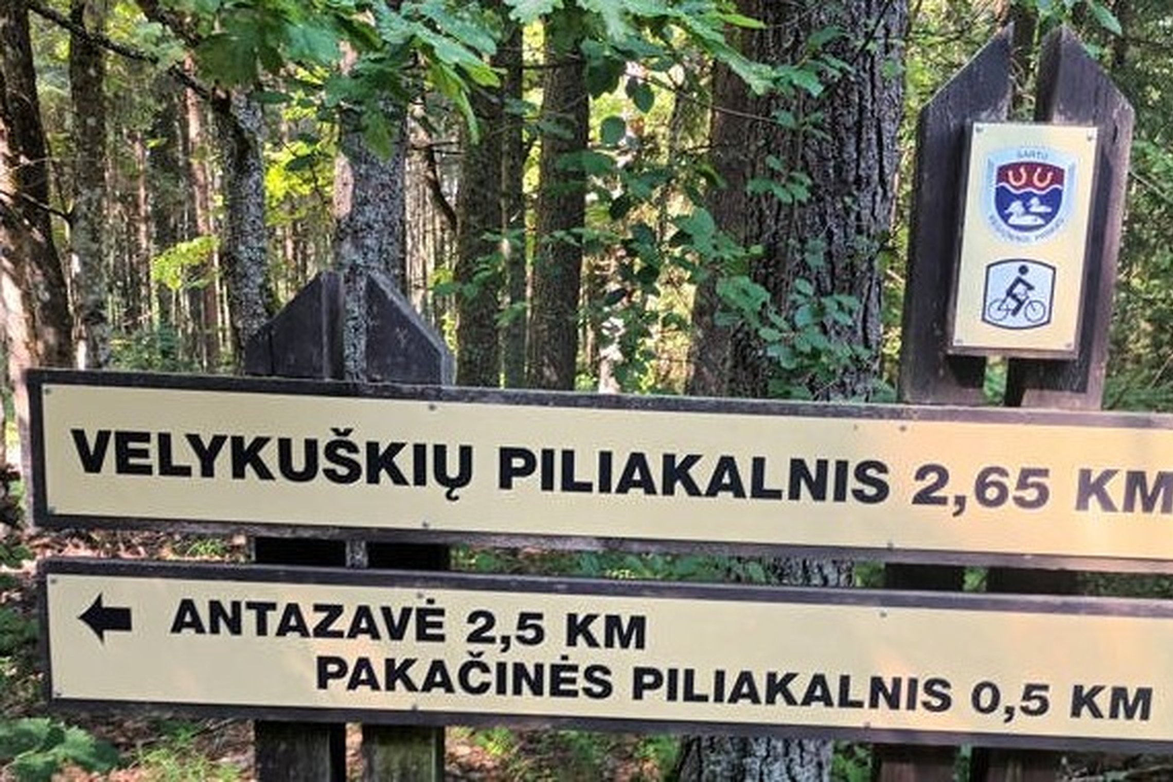 Iliustracija