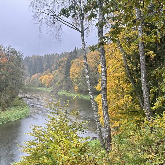 Iliustracija