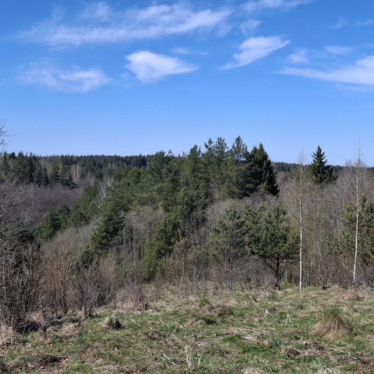 Iliustracija
