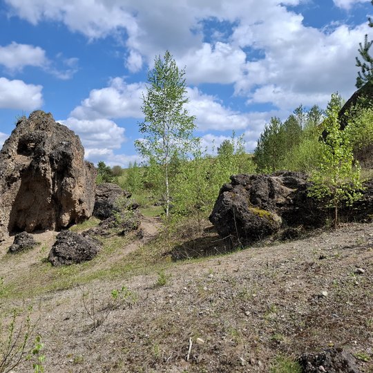 Iliustracija