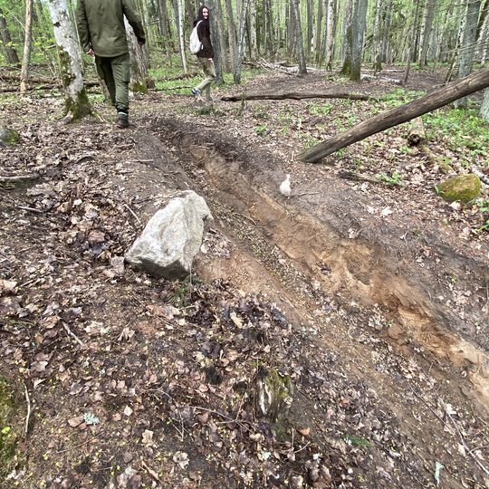 Iliustracija